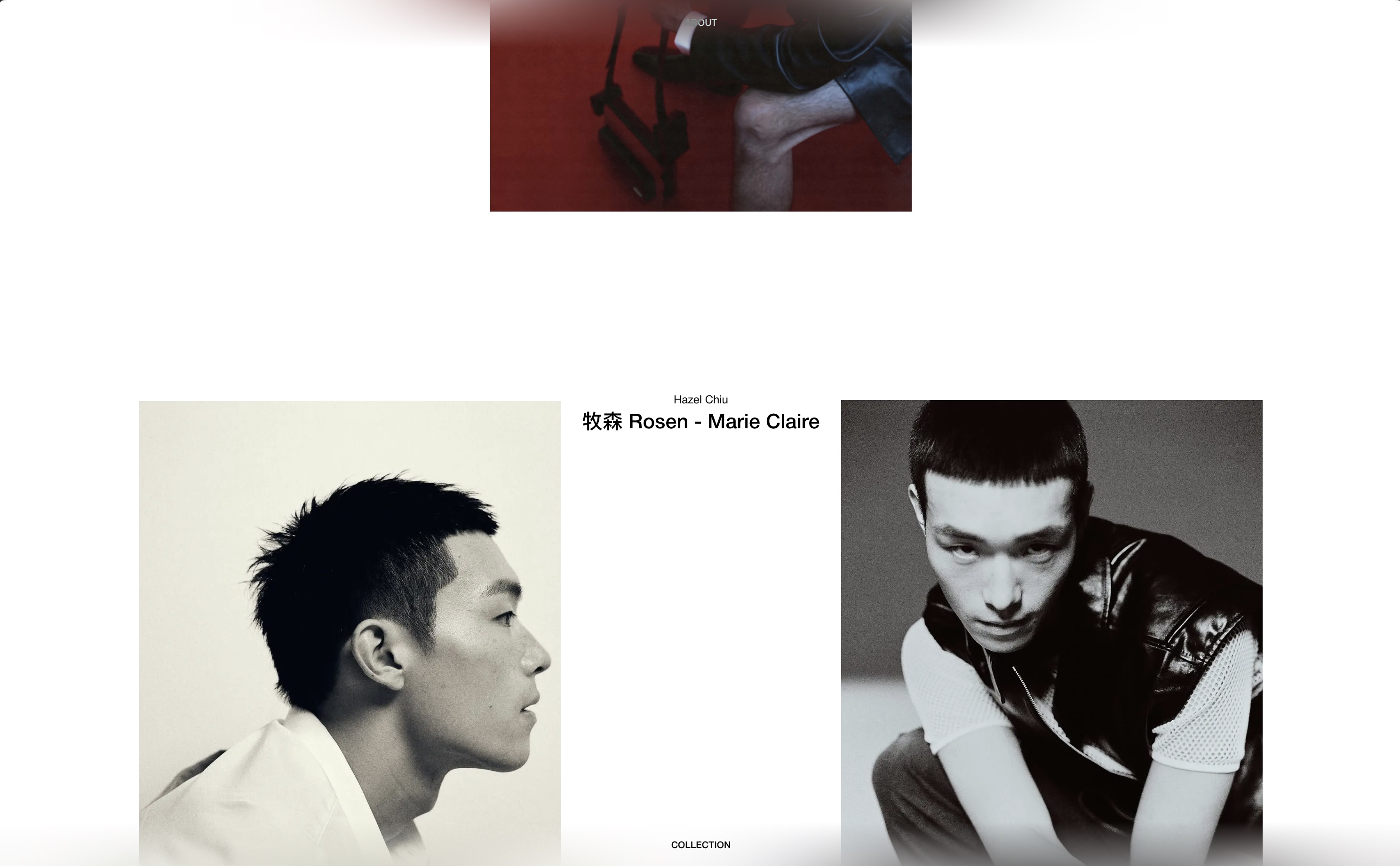 Hazel Chiu's Portfolio